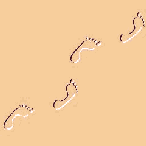 Foot Prints