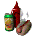 Hot Dog Ketchup Mustard
